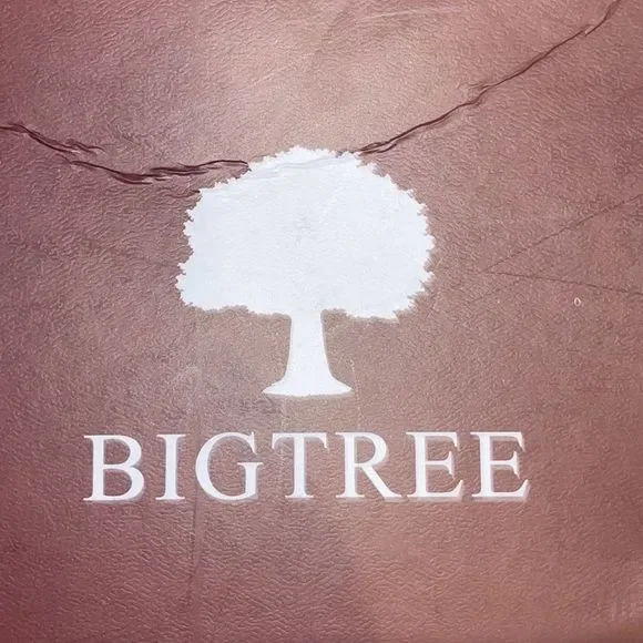 🌳🌟 Big Tree Sparkling Heels - Picture 6 of 7